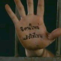 เสียงต้นฉบับ - นายเก๊าไม้🌱