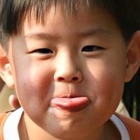 qqmiee