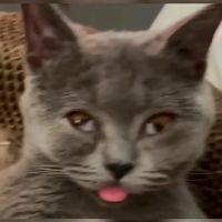 เสียงต้นฉบับ - Dome Piyawat