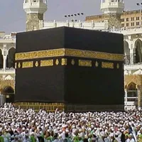 original sound - tamos_1976