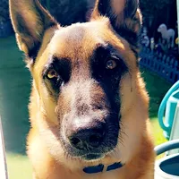 original sound - petitloup_83