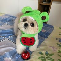 chenfongshizpom