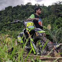 suara asli - 20%