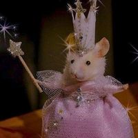 nhạc nền - ᴀnnia🍀