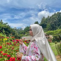 mrkurungmalaysia_