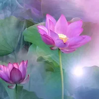 NAMO AMITHOFO 南无阿弥陀佛