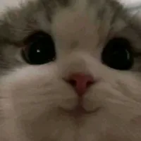 original sound - mp.qnnmu3456