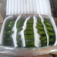 เสียงต้นฉบับ - 小天