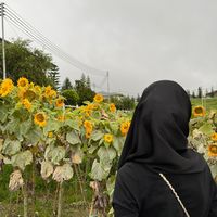 original sound - mashietamsln