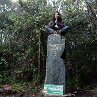 sasaresa19