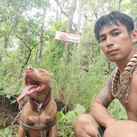 cakepitbull