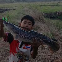 เสียงต้นฉบับ - เซฟเซียนปลา🐟
