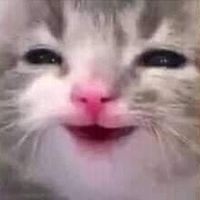 bbymij1
