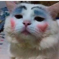 suara asli - ikan asinnn