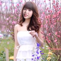 thanhmai081218