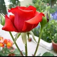 minachaudhary44