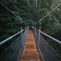 original sound - ralphzss699