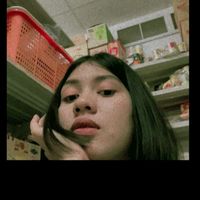 paipai448