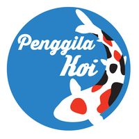 penggila_koi