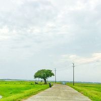 mdsayembhuiyan