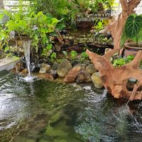 lubukhijau