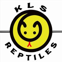 klsreptiles_
