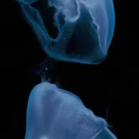 original sound - 0626__kw