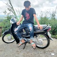 phoethonenya607