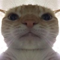 เสียงต้นฉบับ - ฟ้าเปนรัย