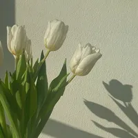 original sound - aprlnmlaa