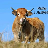 aubractasca