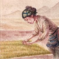 nhạc nền - Tâm An - Bếp Trên Đỉnh Đồi