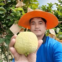 nopsrisomboon