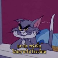 teeor