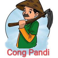 cong_pandi