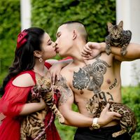 bengalcathouse