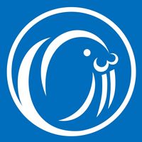 原声 - 中国人在印尼  仓储 代发 批发