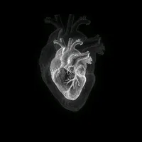 original sound - tmi_loved
