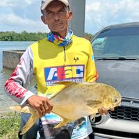 bunyi asal - Ogitawo74