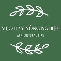 original sound - Mẹo Hay Nông Nghiệp