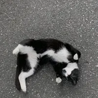 original sound - user.fsuxqs_