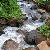 nhạc nền - đa thành công