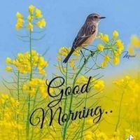 suara asli - 45UT🌄🌄🌄