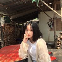 fon._2006