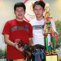 tono_jo99