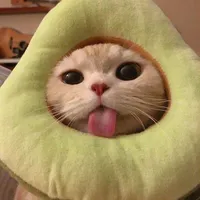 i am sorry i just need 1 minute