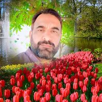 alifkhan282