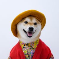 original sound - 🐶 Miye Le Le 🐶