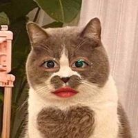 sayno0
