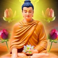 vannhi040118
